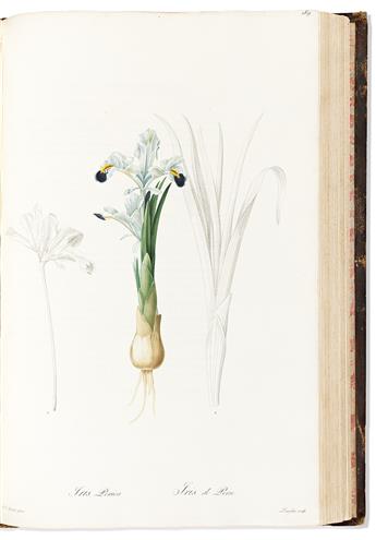 (BOTANICAL.) Pierre-Joseph Redouté. Les Liliacées (volumes 3 and 4).